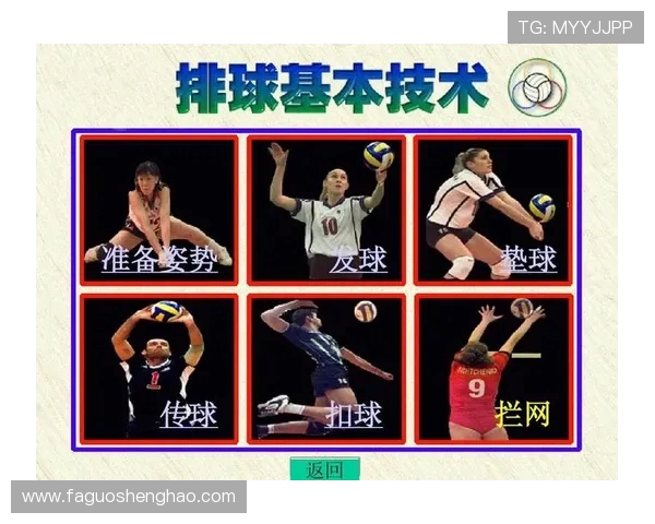 重庆排球队技术揭秘：排球巨献背后的训练与战术分析