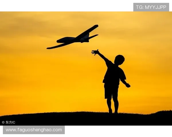 南京城市马拉松评析：极限运动队意识与表现的深度探讨